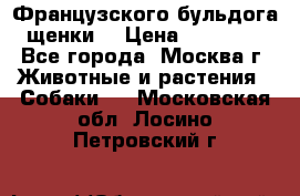 Французского бульдога щенки  › Цена ­ 35 000 - Все города, Москва г. Животные и растения » Собаки   . Московская обл.,Лосино-Петровский г.